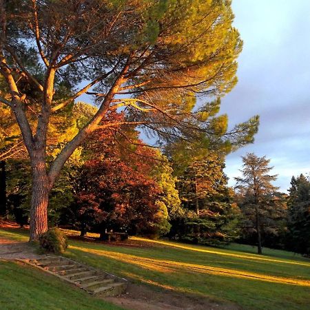 Domaine De Gailhaguet B&B Verfeil  Εξωτερικό φωτογραφία